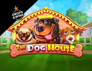 Ігровий автомат The Dog House Megaways в казино Pin-Up